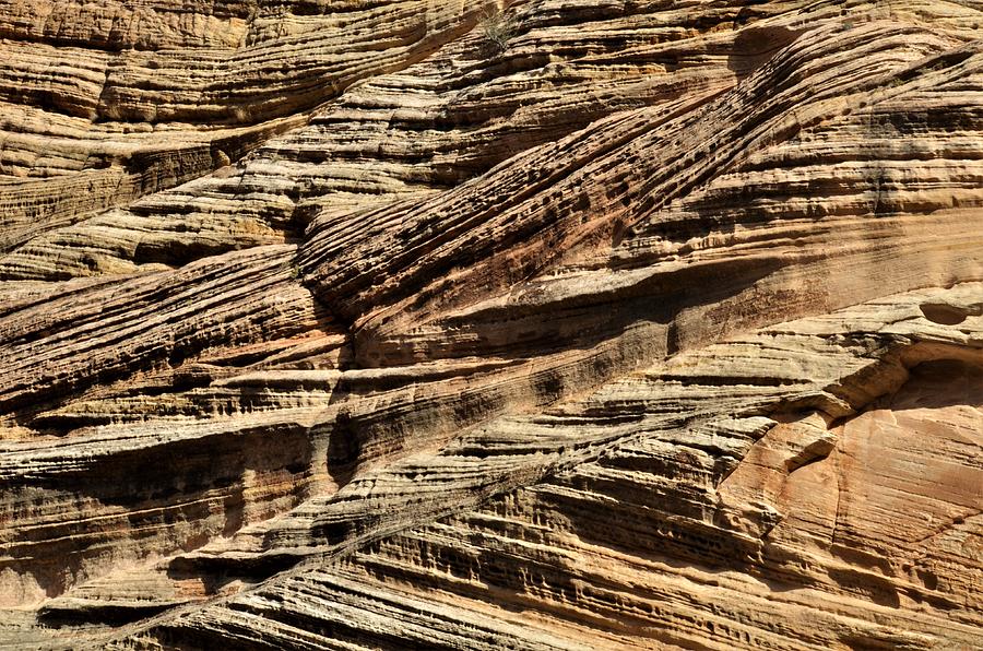 Sandstone Wall Art - Zion National Park Photograph by Heidi Fickinger ...