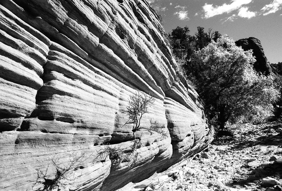 Sandstone Wall Photograph by Heidi Fickinger