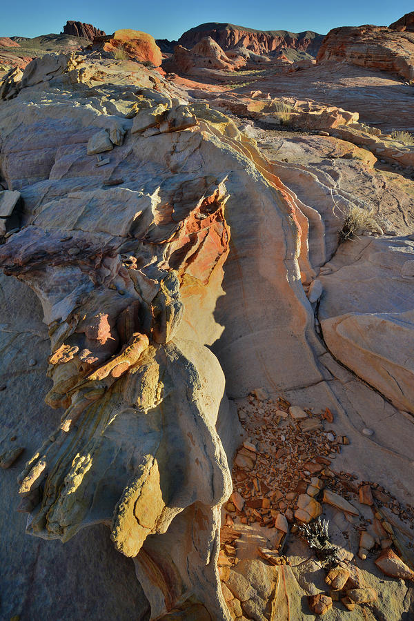 Sandstone Waves in Valley of Fire Photograph by Ray Mathis