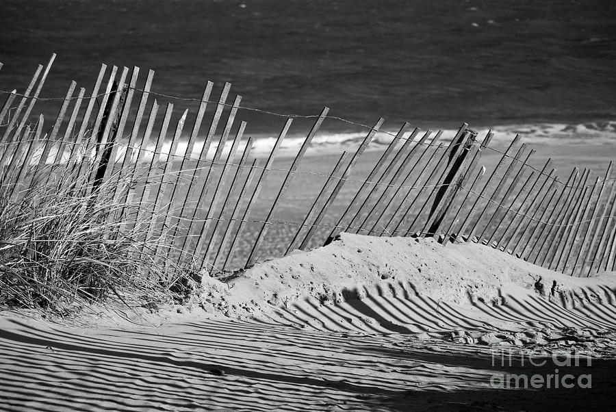 Sandy Beach Fence at the Shore Black and White Coastal Landscape Photo Photograph by PIPA Fine Art - Simply Solid
