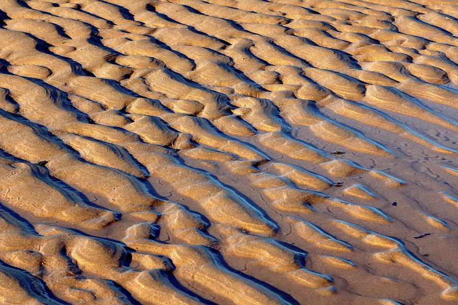 Sandy Forms Photograph by Nicholas Blackwell