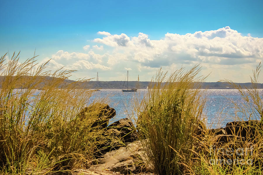 Sandy Hook Bay Photograph by Colleen Kammerer