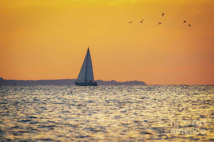 Sandy Hook Bay Sunset  Photograph by Michael Ver Sprill