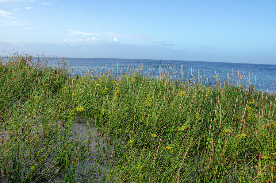 Sandy Neck dunes Photograph by Donna Doherty
