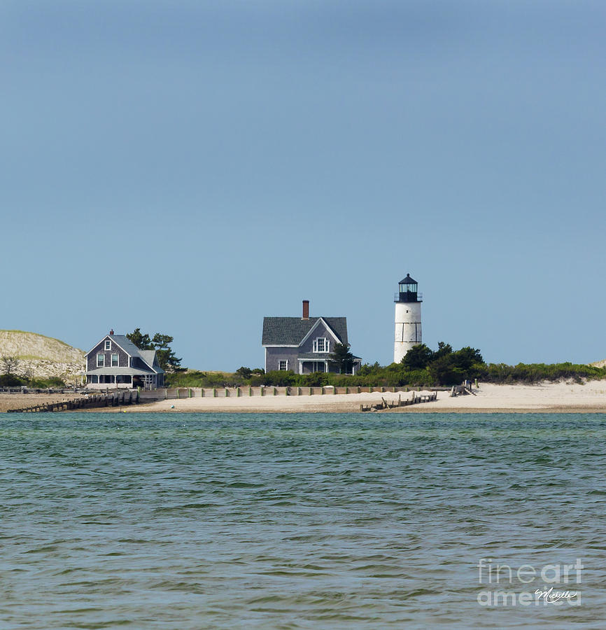 Tree Photograph - Sandy Neck Light Early June by Michelle Constantine