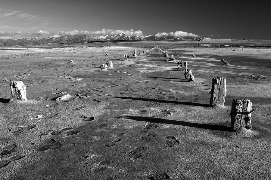 Sandy Path in Black and White Photograph by Buck Buchanan - Fine Art ...