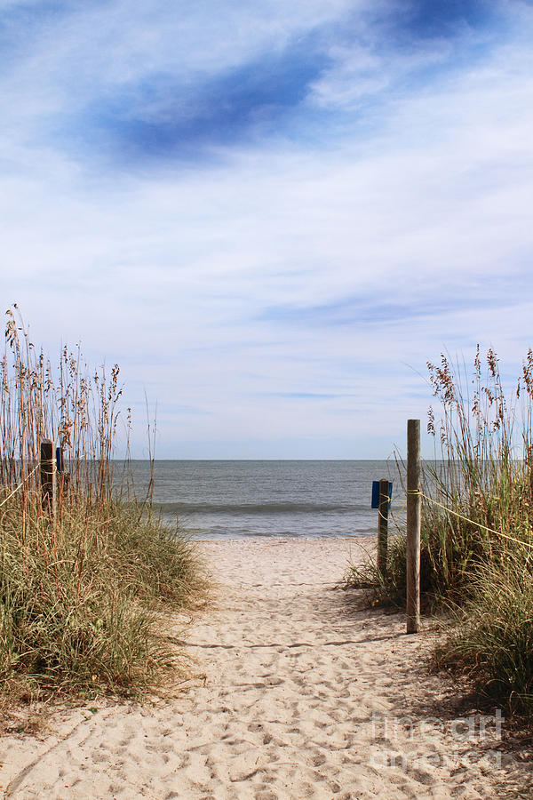 Sandy Path Leading to Beach Photograph by Stephanie Frey