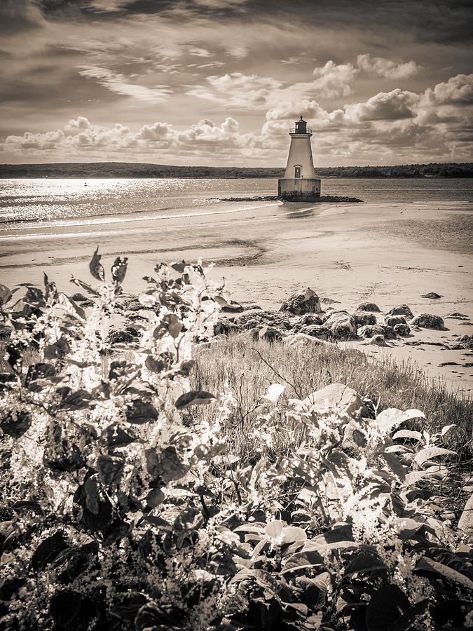 Sandy Point Lighthouse Photograph by Mark Llewellyn