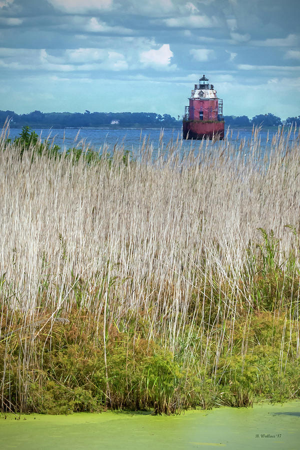 Sandy Pt Shoal Lighthouse With Marsh Grass Photograph by Brian Wallace