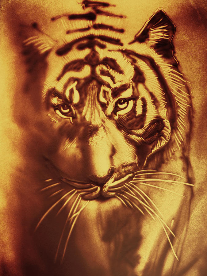 Sandy Tiger. Golden Drawing by Elena Vedernikova