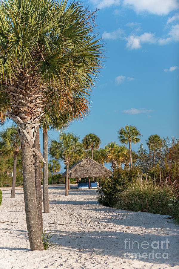 Sandy Toes And Palmetto Breezes Photograph