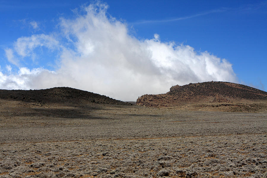 Sanetti Plateau, Ethiopia Photograph by Aidan Moran - Pixels