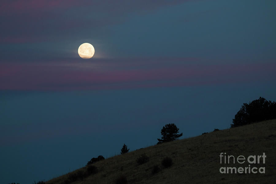 Sangre de Cristo Mountain Moonset Photograph by Steven Krull