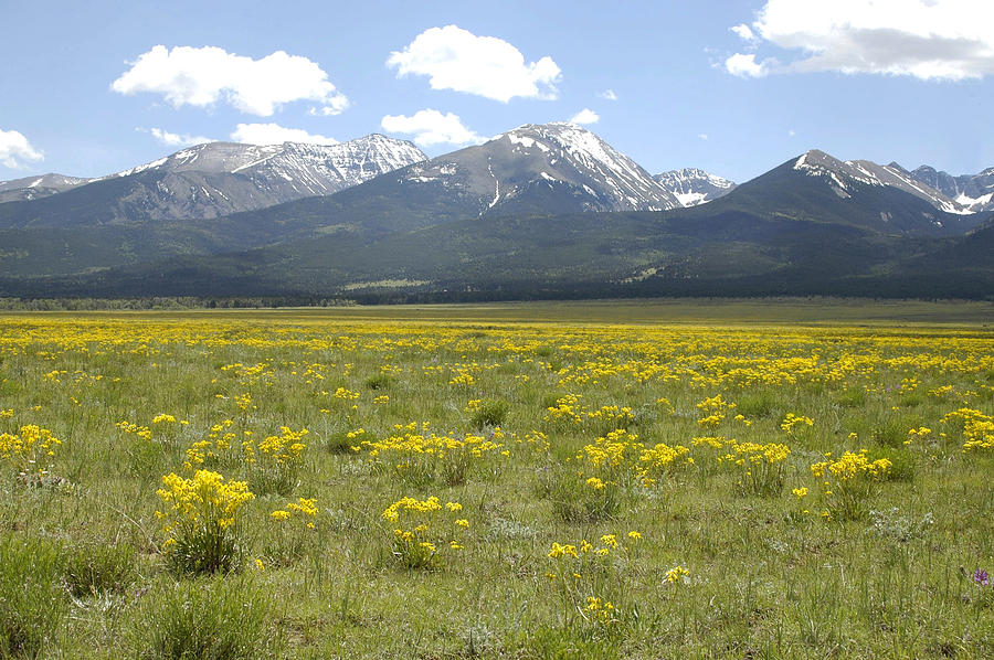 Sangre De Cristo Mountains Painting by Dennis Rundlett - Fine Art America