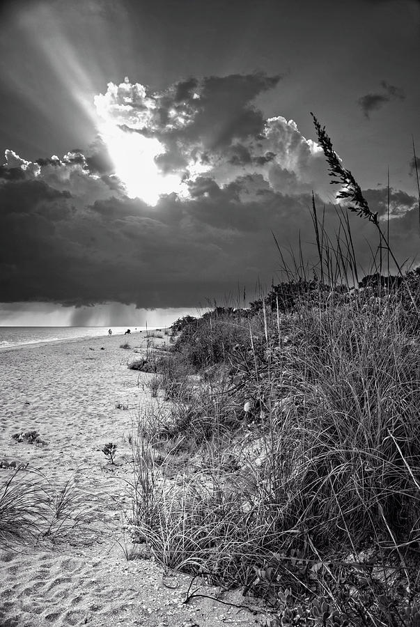 Sanibel Dune At Sunset in Black and White Photograph by Greg and Chrystal Mimbs