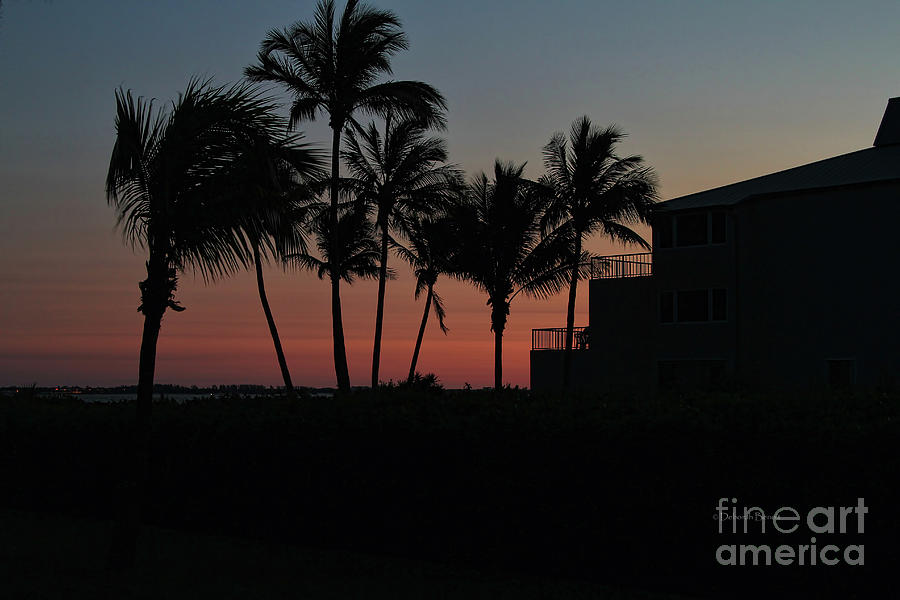 Sunset Photograph - Sanibel Evening by Deborah Benoit