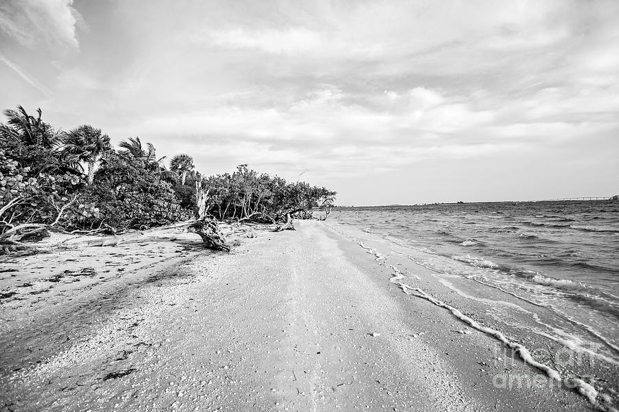 Sanibel Island Florida Photograph by Scott Pellegrin