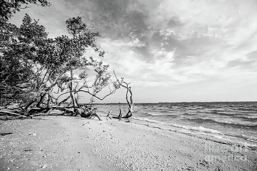 Sanibel Island Morning Photograph by Scott Pellegrin
