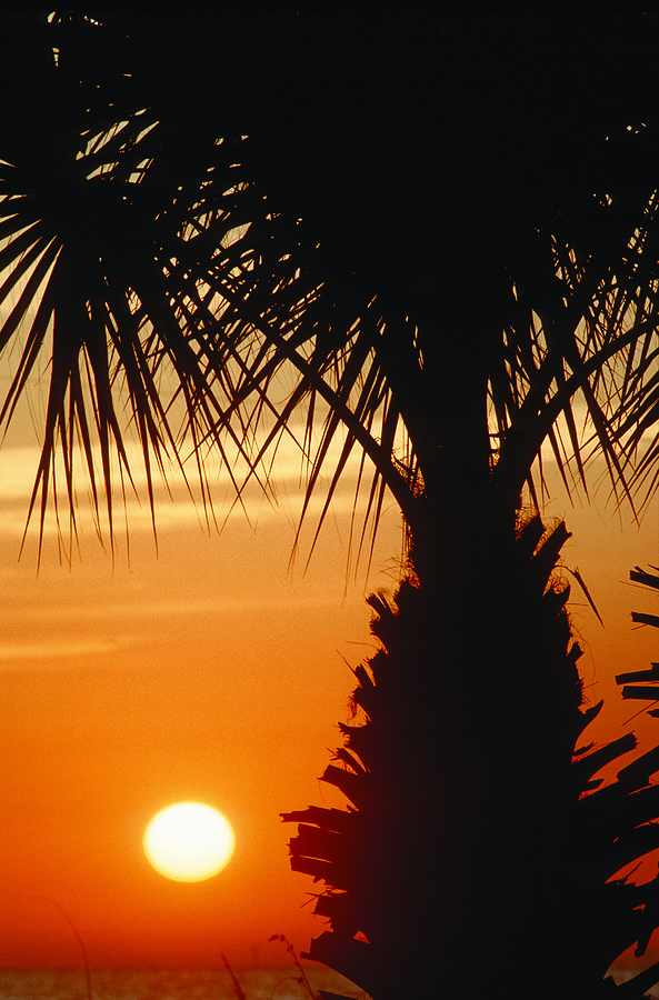Sanibel Island Sunrise Photograph by Steve Somerville