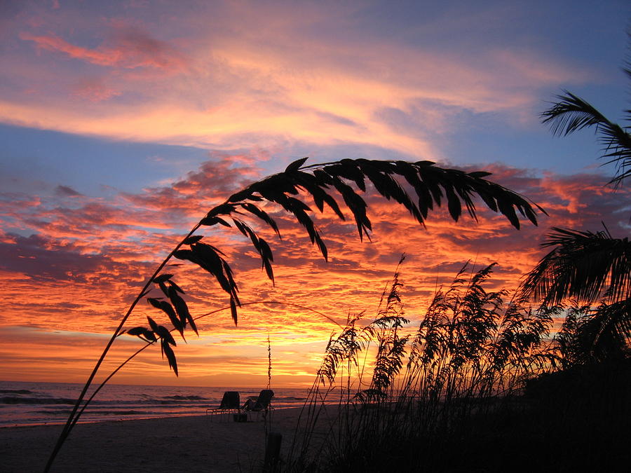 Sanibel Island Sunset Photograph by Nick Flavin