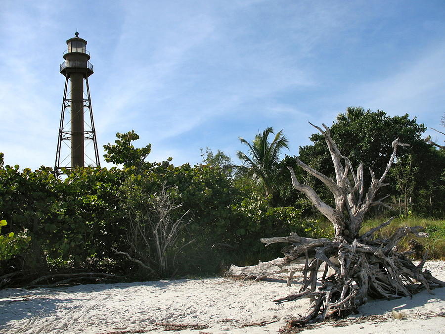 Sanibel Lighthouse Photograph - Sanibel Light And Driftwood by Christiane Schulze Art And Photography Sanibel Lighthouse Photograph - Sanibel Light And Driftwood by Christiane Schulze Art And Photography