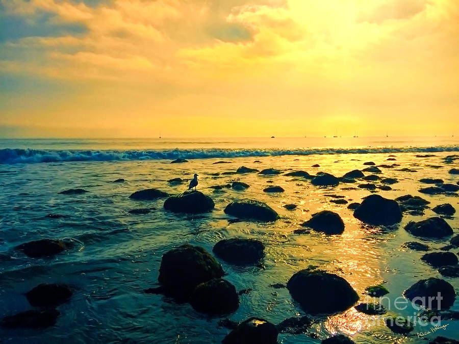 Santa Barbara California Ocean Sunset Photograph by Alicia Hollinger