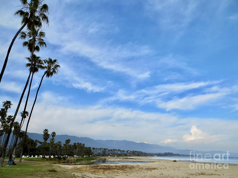 Tree Photograph - Santa Barbara Coast by Rachel Morrison