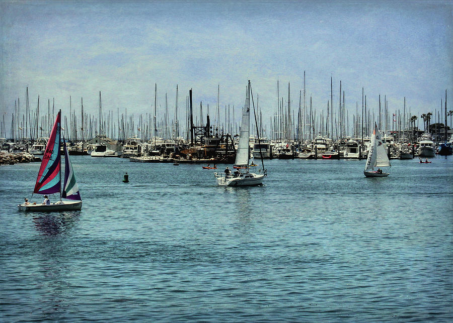 Boat Photograph - Santa Barbara Harbor 2 by Judy Vincent