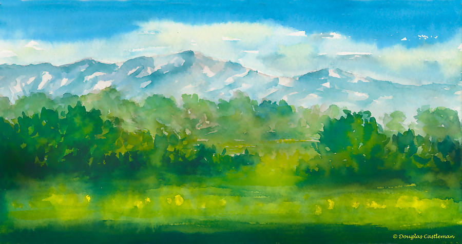 Santa Barbara Mountains Painting by Douglas Castleman