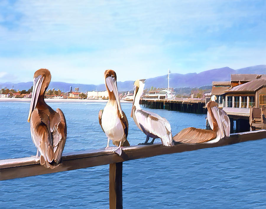Bird Photograph - Santa Barbara Pelicans by Kurt Van Wagner