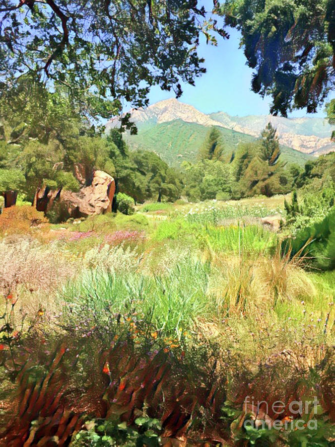 Garden Digital Art - Santa Barbara Summer by Jackie MacNair
