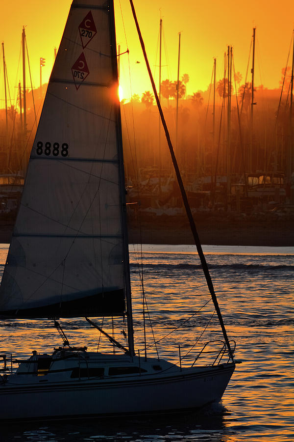 Santa Barbara Yacht Sunset Photograph by Kyle Hanson