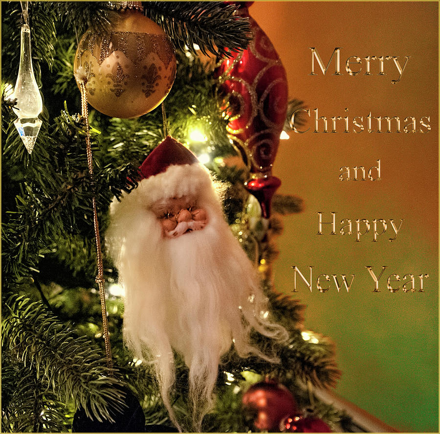 Santa Claus Photograph - Santa Christmas Greeting Card by Phyllis Taylor