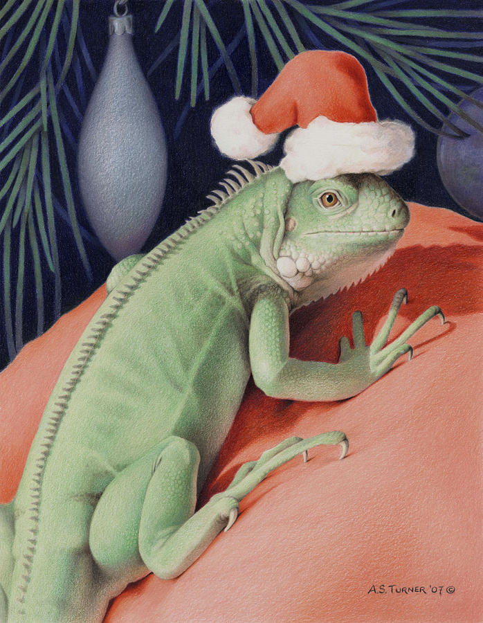 Christmas Drawing - Santa Claws - Bob the Lizard by Amy S Turner