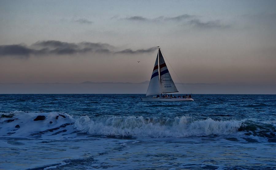 Santa Cruz Sail Photograph by Marilyn MacCrakin