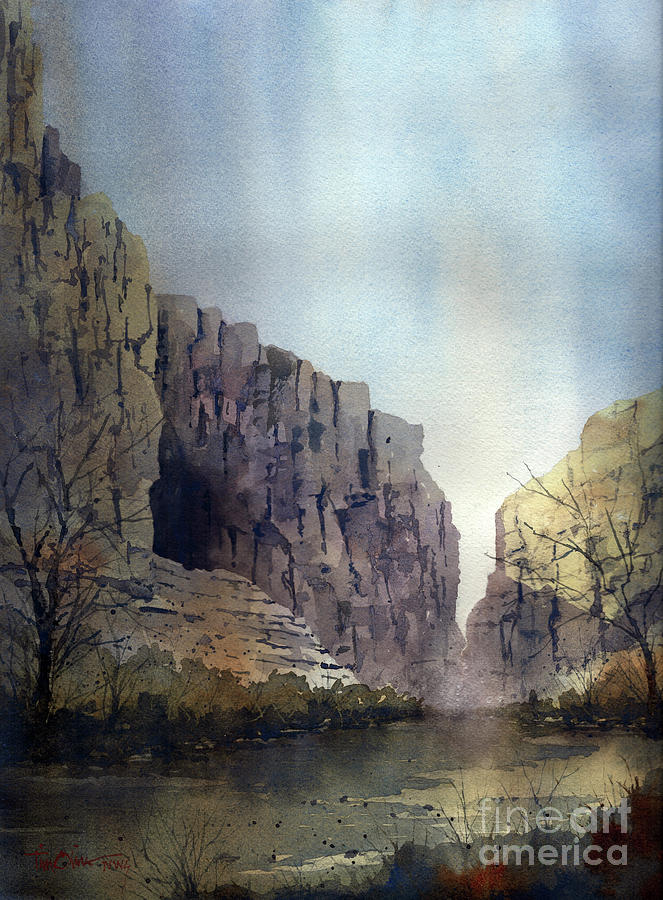 National Parks Painting - Santa Elena Canyon on the Rio Grande by Tim Oliver