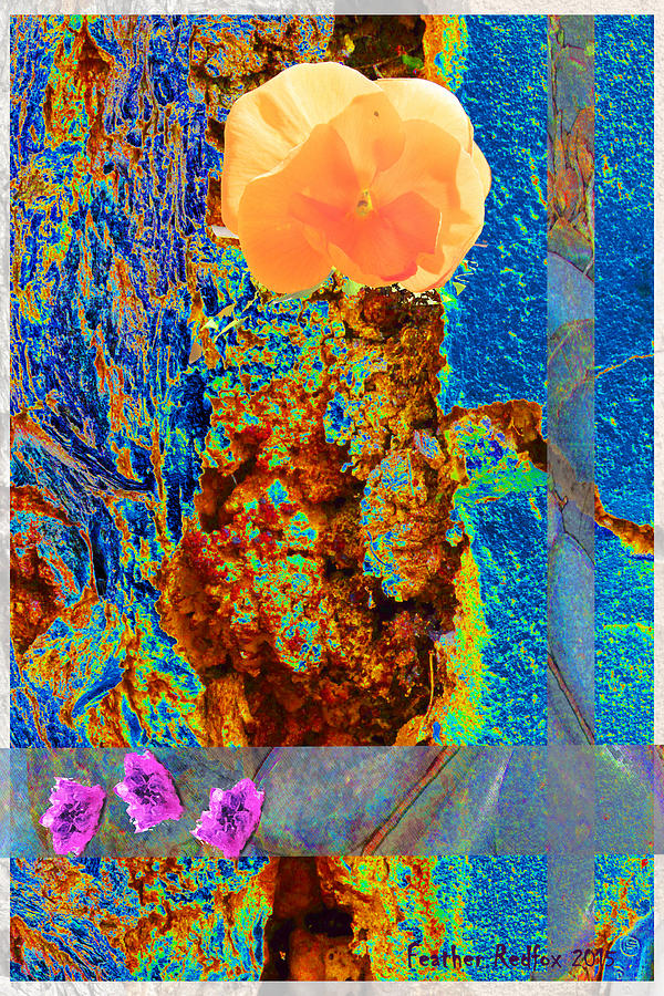 Abstract Photograph - Santa Fe Bark Wall with Flowers by Feather Redfox