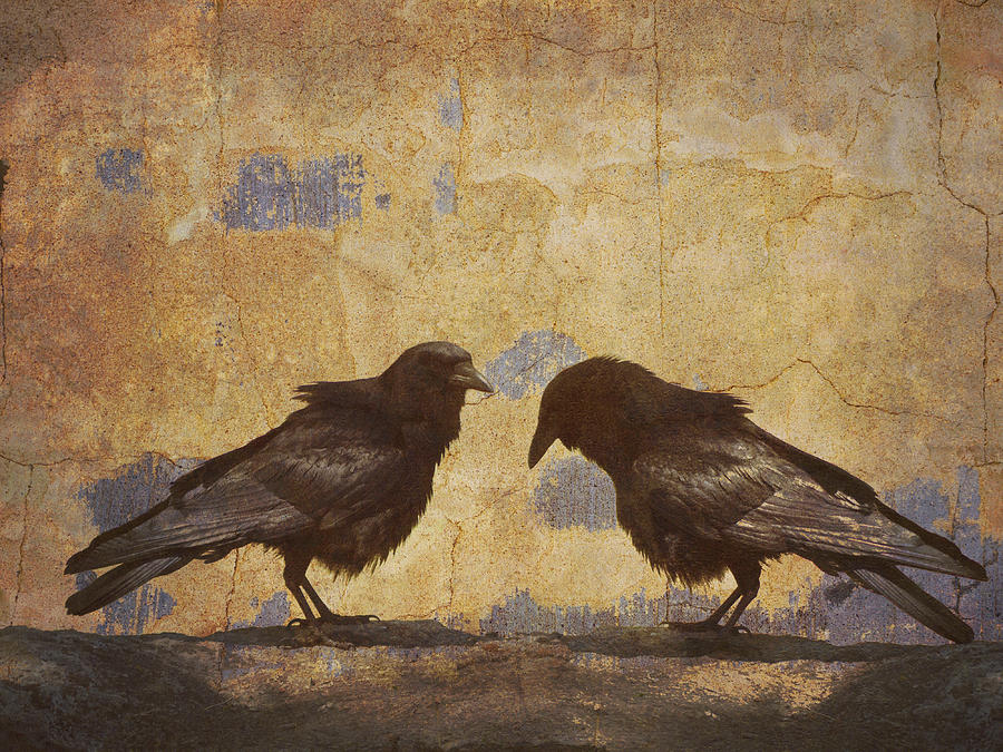 Crow Photograph - Santa Fe Crows by Carol Leigh