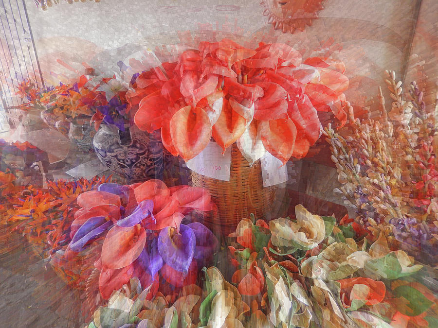Santa Fe Flower Market Digital Art by Ann Johndro-Collins