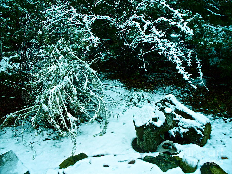 santa-fe-snow-photograph-by-chuck-taylor-fine-art-america