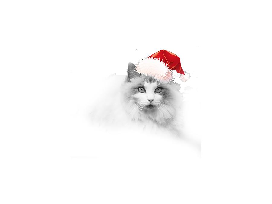 Santa Kitty Digital Art by Kathleen Illes