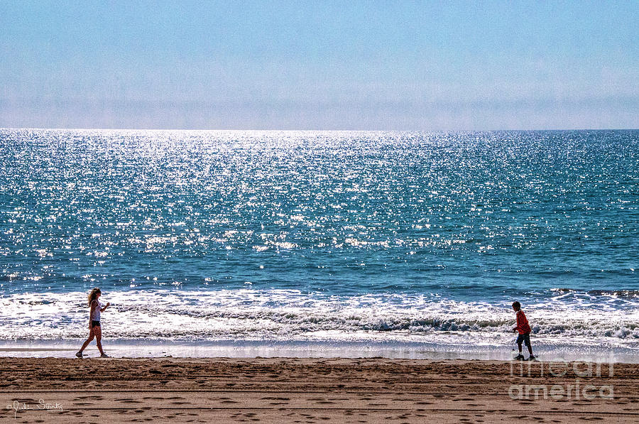 Santa Monica Beach At Play Photograph