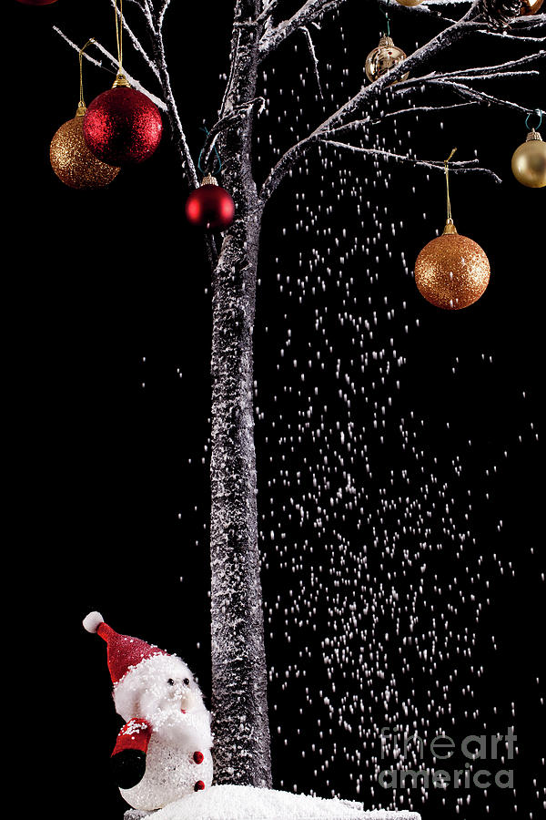 Santa under a tree with snow on black background Photograph by Simon Bratt