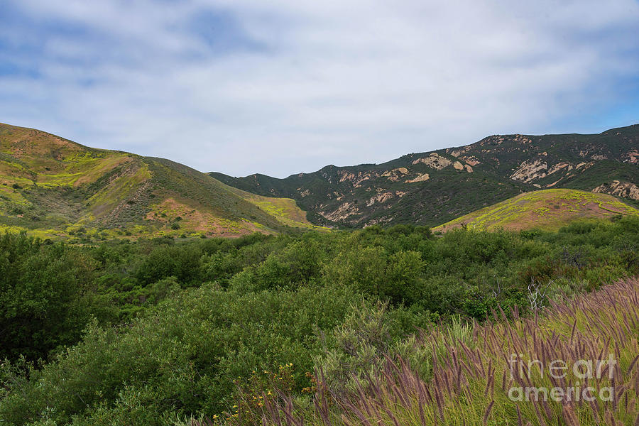 Santa Ynez Mountains View Photograph by Jeff Hubbard