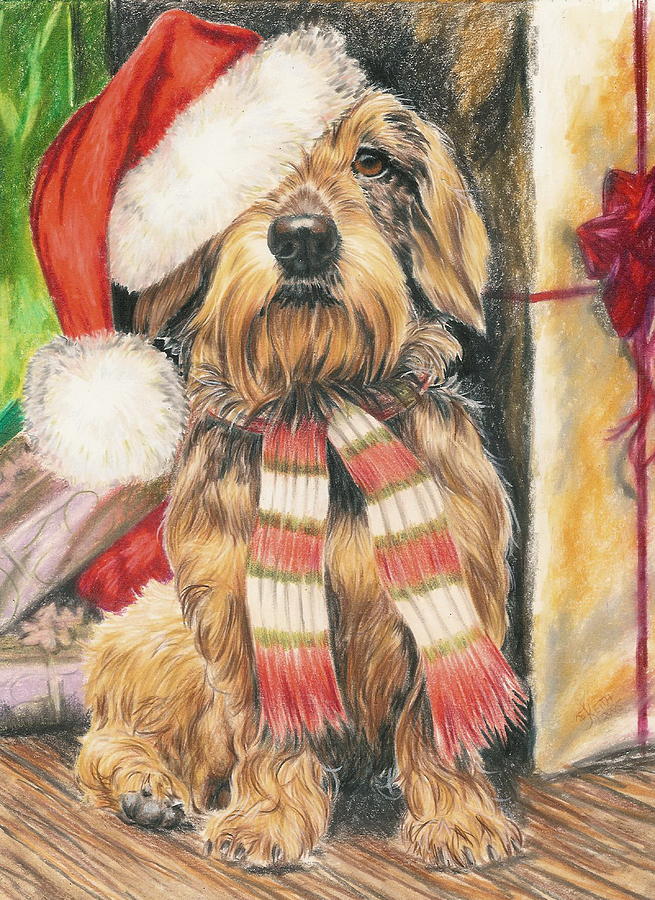 Christmas Drawing - Santas Little Yelper by Barbara Keith
