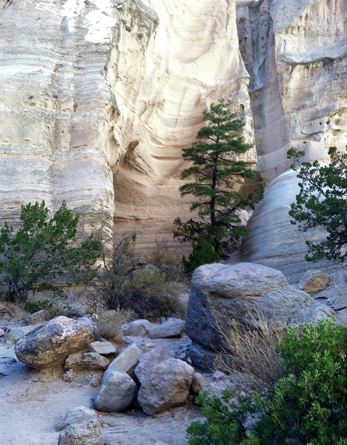 Santo Domingo Pueblo New Mexico Pine Photograph By Kathryn Alexander