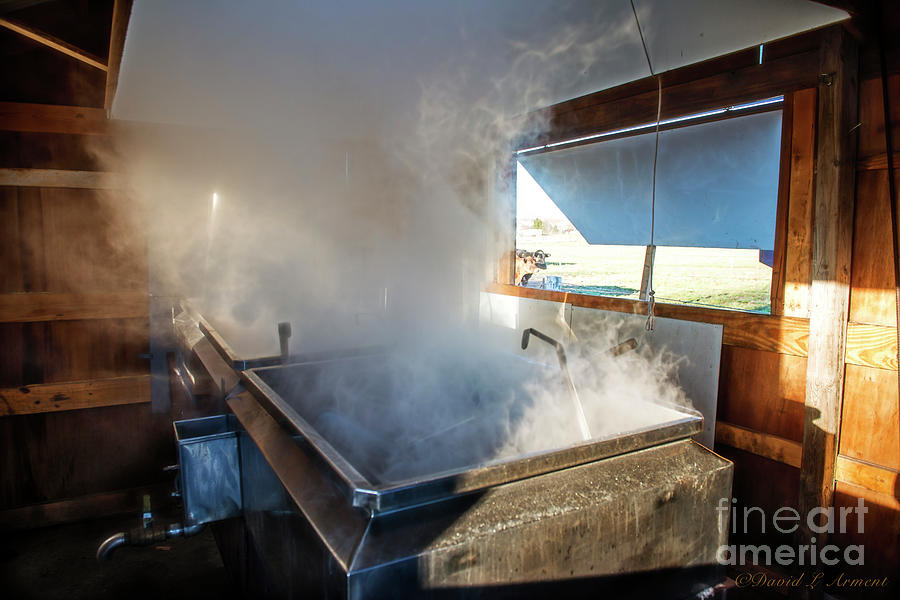 Sap Boiler at Amish Farm Photograph by David Arment