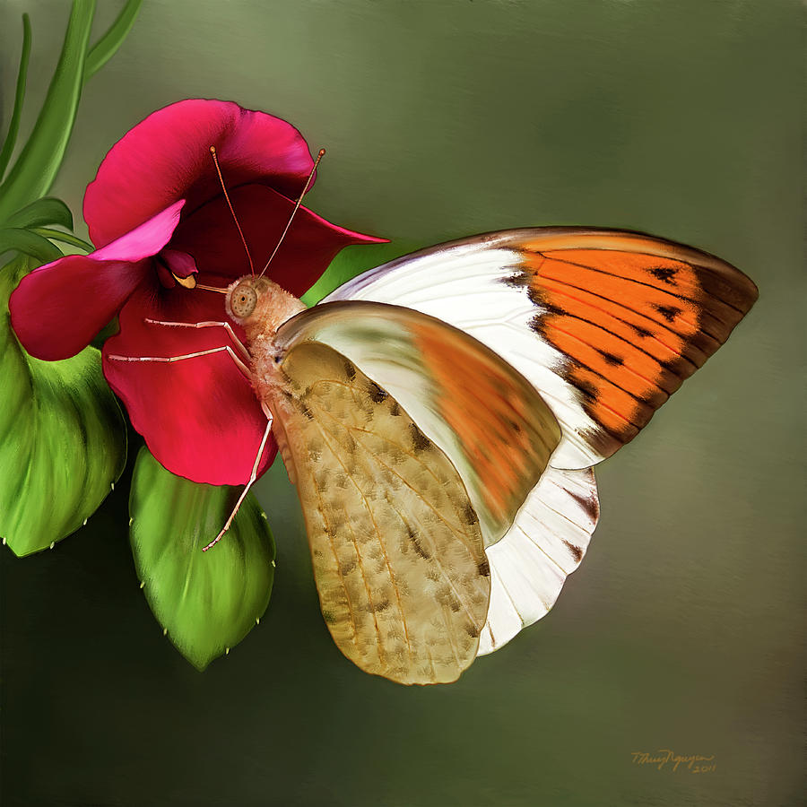 Sara Orange Tip butterfly Digital Art by Thanh Thuy Nguyen