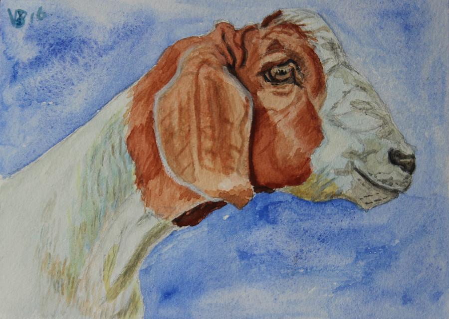 SARAs Goat, Hercules Painting by Vera Smith