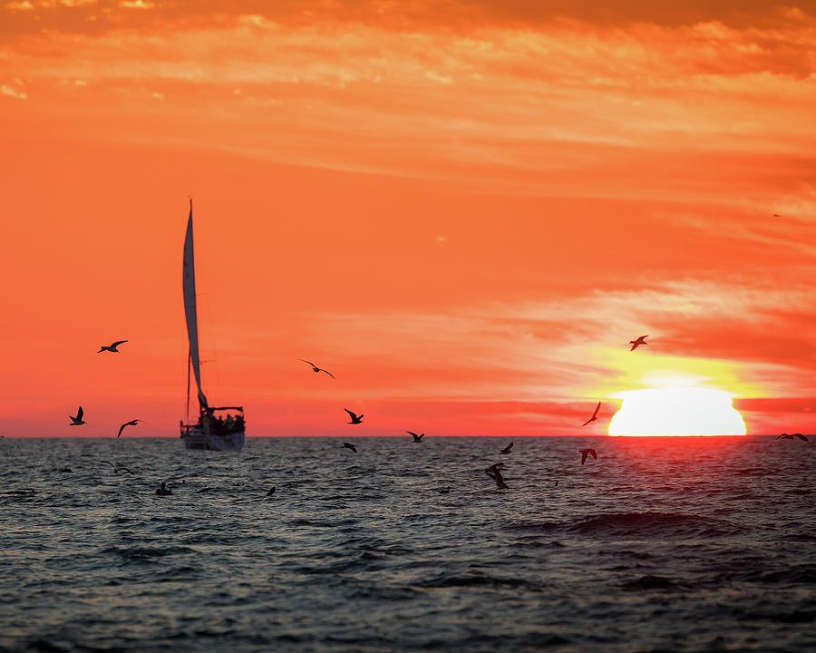 Sarasota Sunset Photograph by Joe Myeress